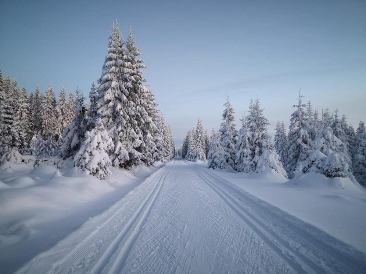 Rodinne Apartmany Rafael Bedrichov Bagian luar foto