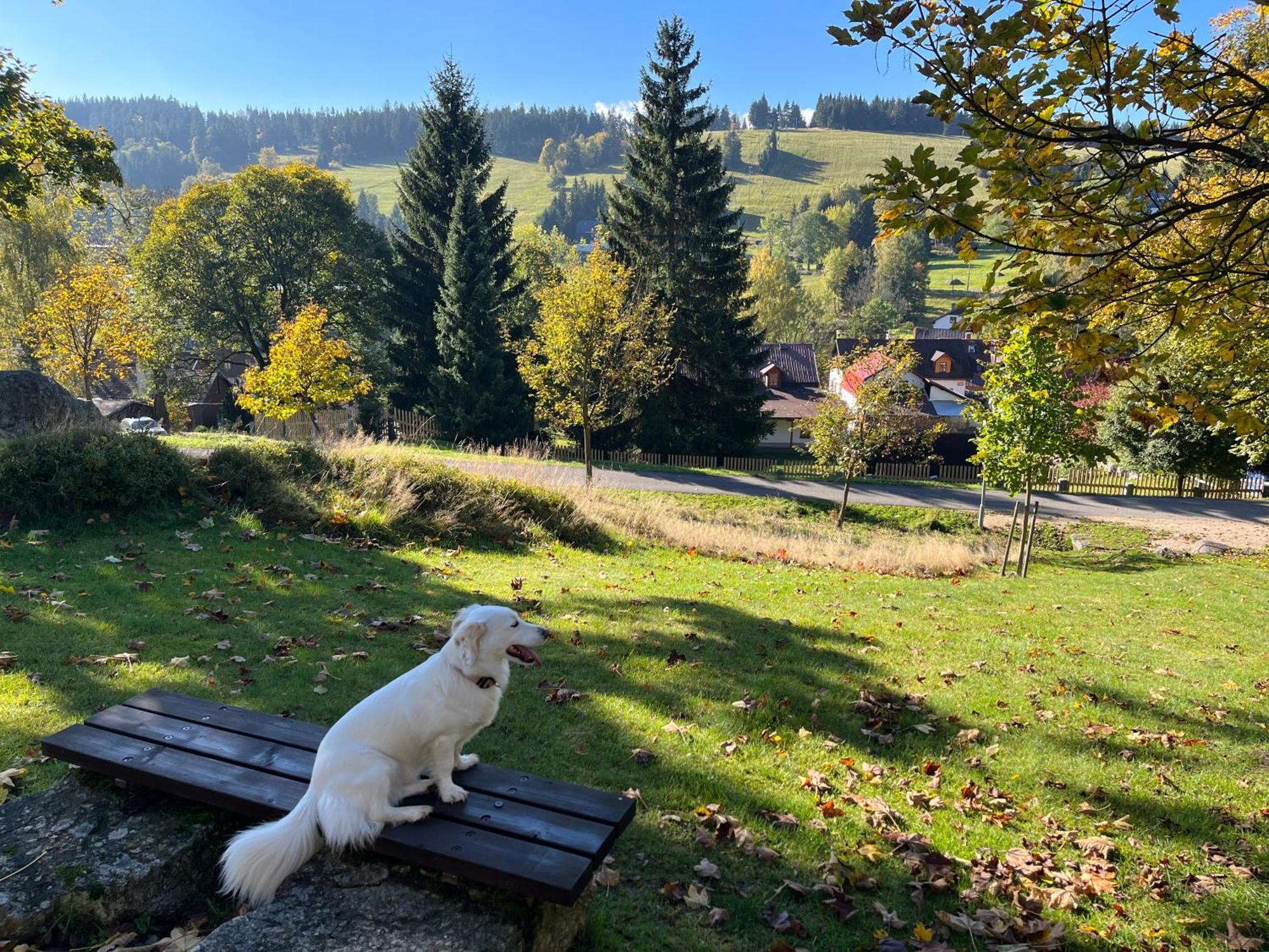 Rodinne Apartmany Rafael Bedrichov Bagian luar foto